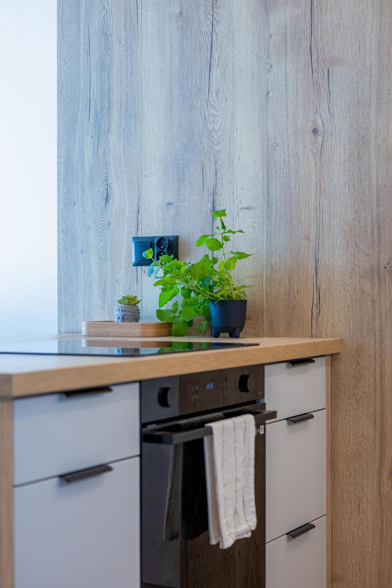 Vip Apartament Kopisto Centrum Rzeszów Eksteriør billede